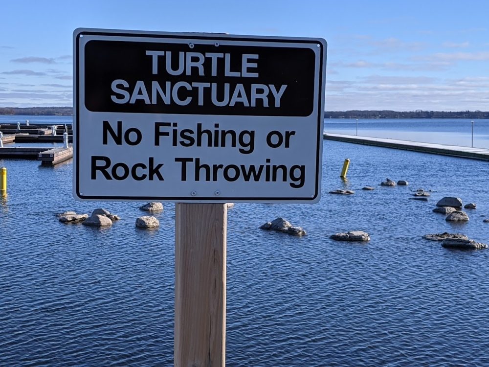 Turtle Sanctuary Sign (1)